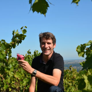 Olivier Coquard, faiseur de nouveaux Beaujolais