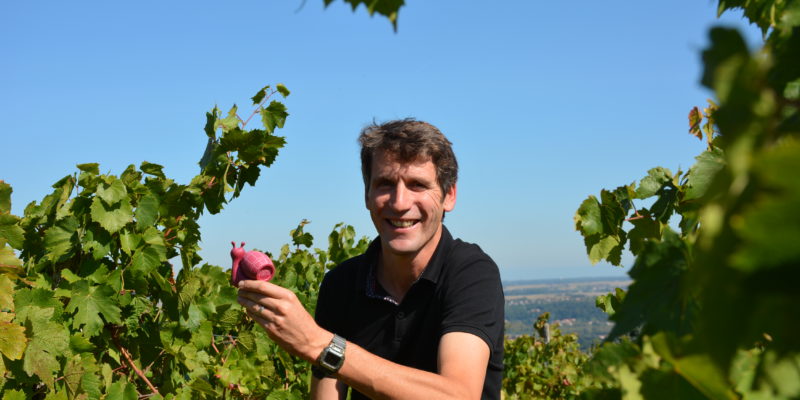 Olivier Coquard, faiseur de nouveaux Beaujolais