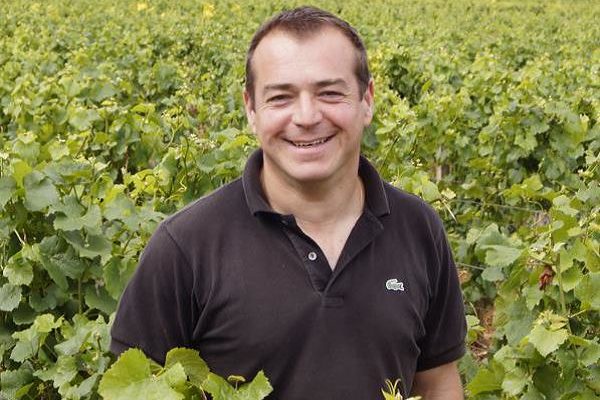 Peut-on faire face collectivement au changement climatique dans les vignes bourguignonnes ?