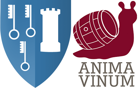 Hospices de Beaune selon Anima Vinum