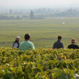 Hospices de Beaune : Dans l’ombre des Grands Crus