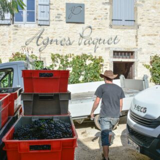 En vendanges chez Agnès Paquet !