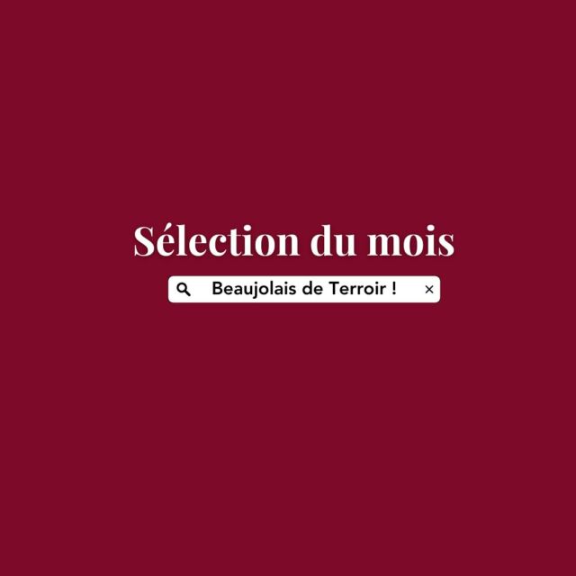 3 RAISONS DE FONCER trouver ces Beaujolais Nouveaux ! 

*  Goûter en avant-première ce millésime 2024, rare et fin, à travers des Gamays juteux d’artisans-vignerons 

* Profiter d’un «Vin de Copains » à prix tout à fait abordable, rapport qualité-prix imbattable

* Être sûr et certain que ces vins possèdent un supplément d’âme parce qu’ils sont sélectionnés par Anima Vinum 😉#beaujolaisnouveau